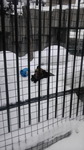 170225_114854.jpg