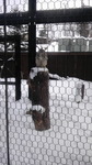 170225_121842.jpg