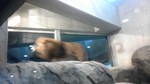 170319_115715.jpg