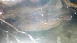 170319_121340.jpg