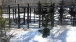 170319_130324.jpg