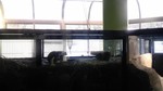 170319_132356.jpg